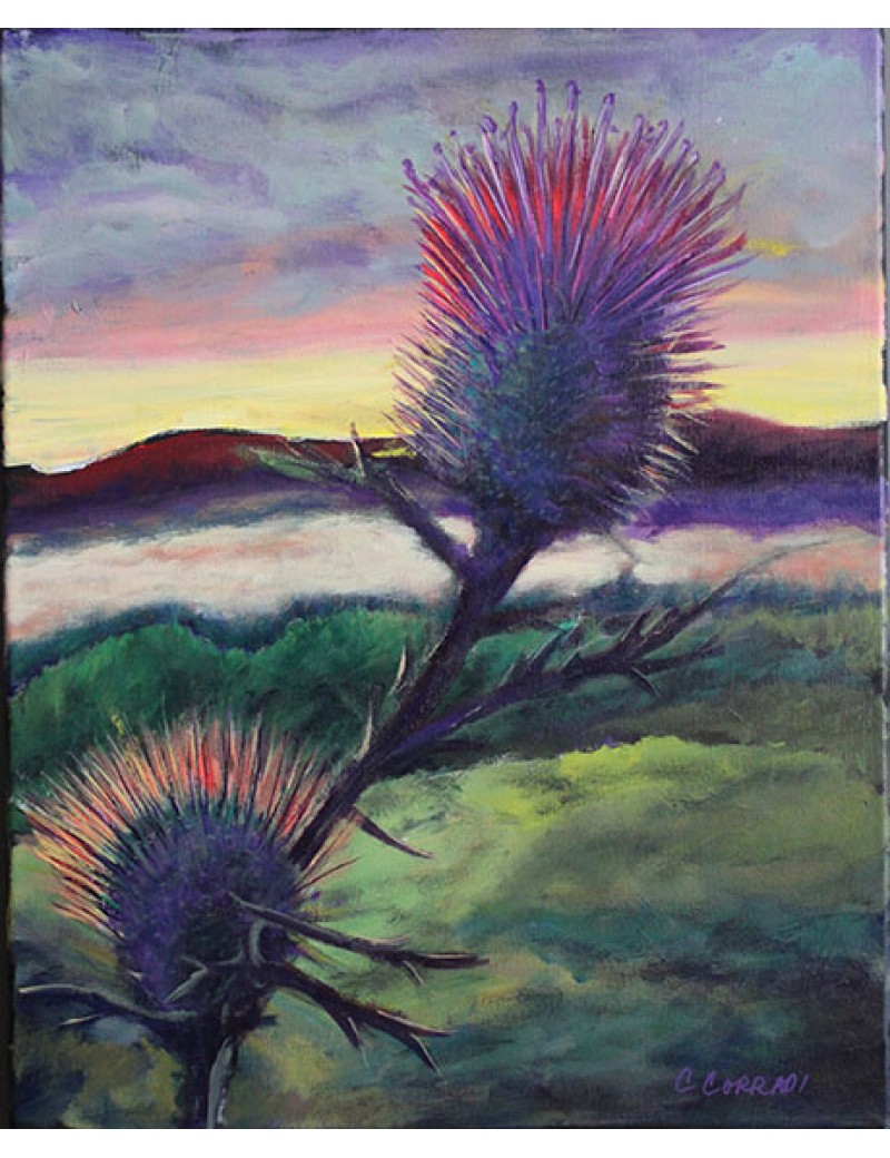 Thistles on a Foggy Morning