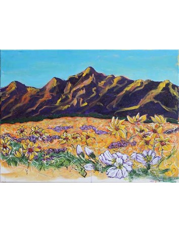 Ana-Borego Super Bloom