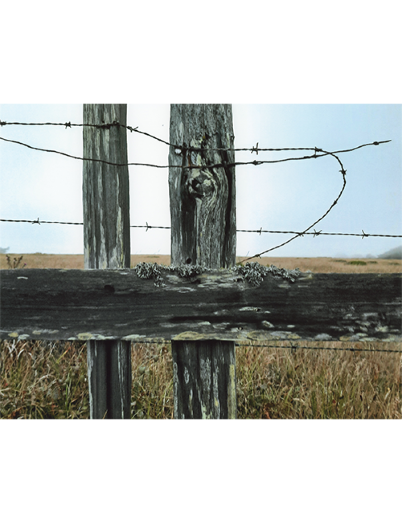 Barbed Wire Turnaround